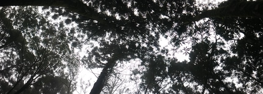 20151213_140912_Pano