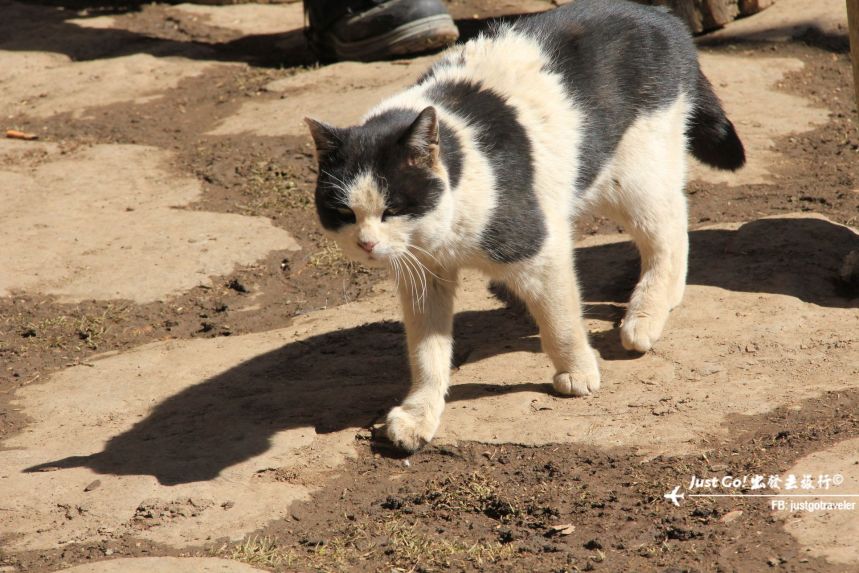 [中國] 日出登頂5025公尺·四川四姑娘山大峰雪地攀登2日遊記18_