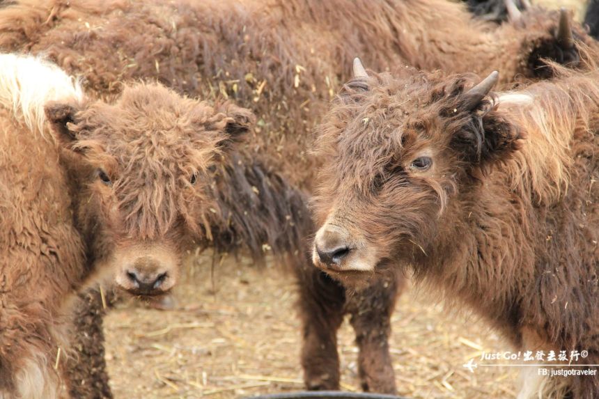 雙溝橋冬季攀冰訓練攻略與心得09_