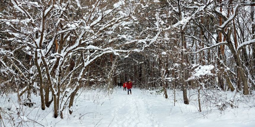 日本 - 福島·冬季戶外旅遊-猪苗代湖、五色沼健行03