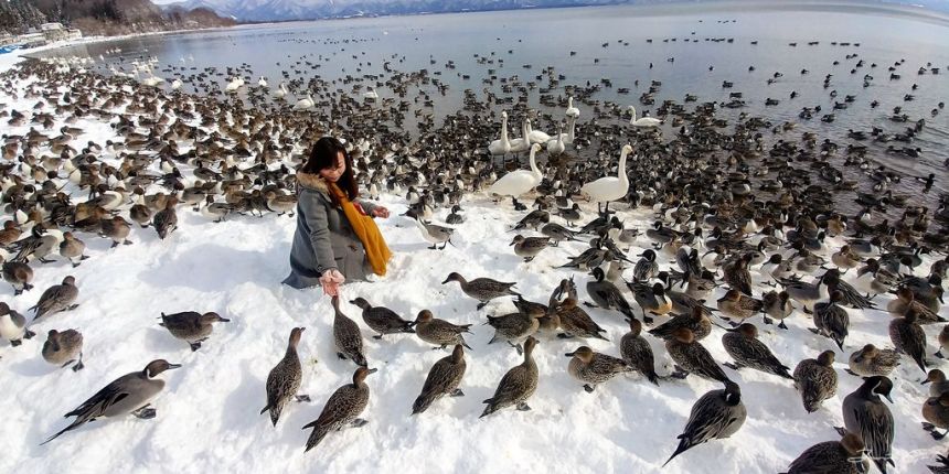 日本 - 福島·冬季戶外旅遊-猪苗代湖、五色沼健行12