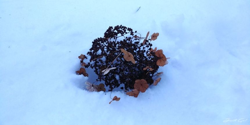 日本 - 福島·冬季戶外旅遊-猪苗代湖、五色沼健行20