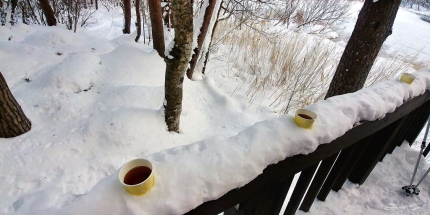 日本 - 福島·冬季戶外旅遊-猪苗代湖、五色沼健行24