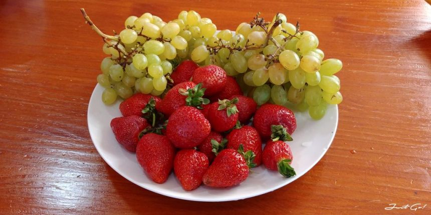 智利 - 聖地牙哥必吃美食推薦·海鮮、水果、雞腿、豬牛排與紅酒11_