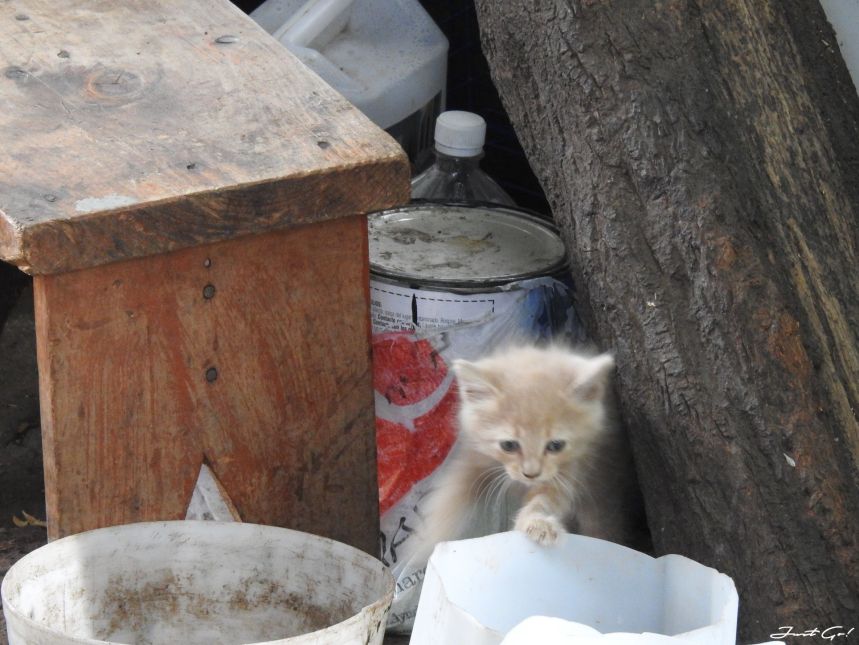 智利 - 聖地牙哥旅遊·自助探訪瀑布、俯瞰市景熱門登山健行路線22_