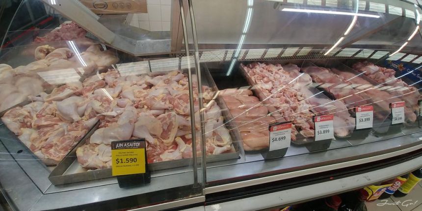 智利 - 百內國家公園W健行自由行攻略-行程、經費、裝備準備智利 - 百內國家公園W健行自由行攻略-行程、經費、裝備準備04