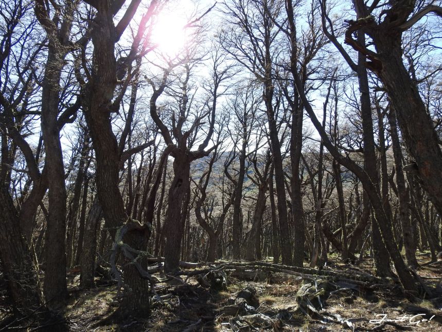 阿根廷 - Patagonia健行Chalten 4天3夜自助攻略-行程、交通、費用、季節、裝備30