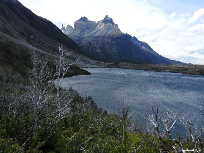 智利 - 【國家地理】一生必去景點·百內國家公園W健行4天遊記124