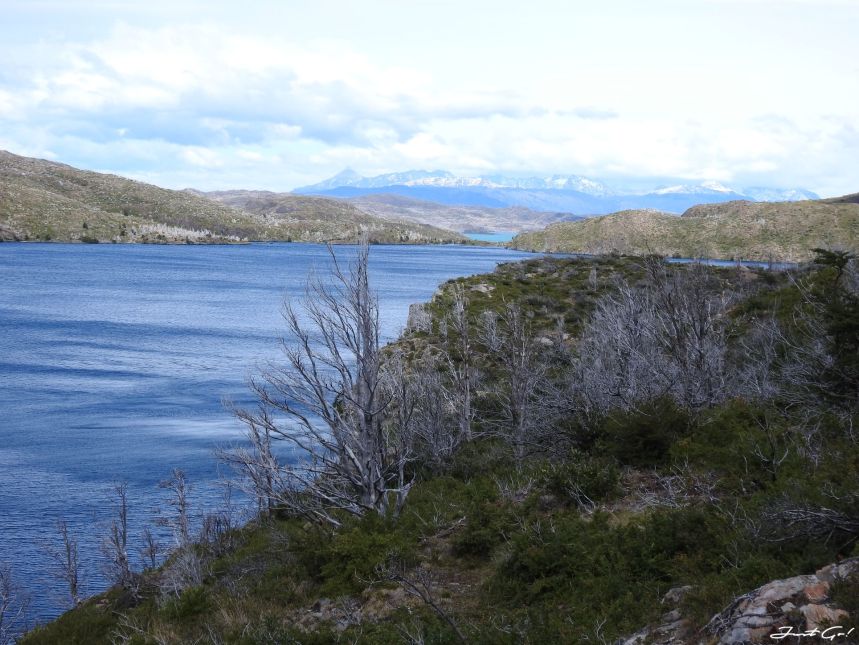 智利 - 【國家地理】一生必去景點·百內國家公園W健行4天遊記125