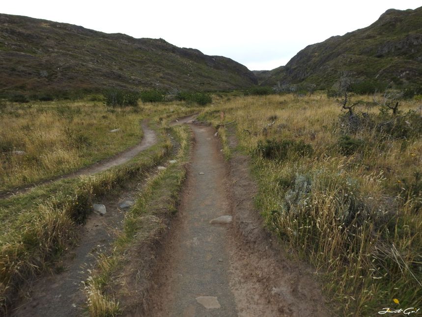 智利 - 【國家地理】一生必去景點·百內國家公園W健行4天遊記138