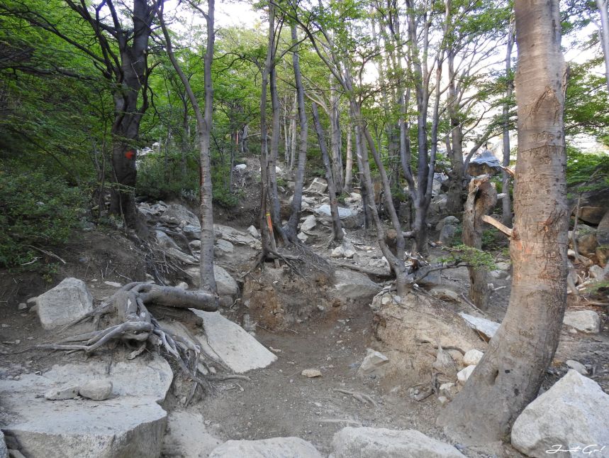 智利 - 【國家地理】一生必去景點·百內國家公園W健行4天遊記33