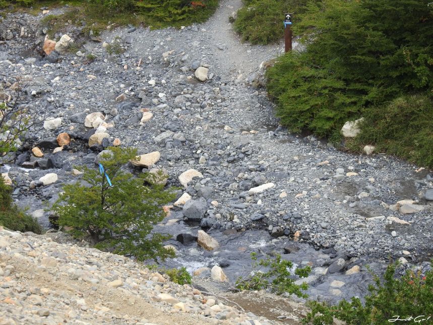 智利 - 【國家地理】一生必去景點·百內國家公園W健行4天遊記59