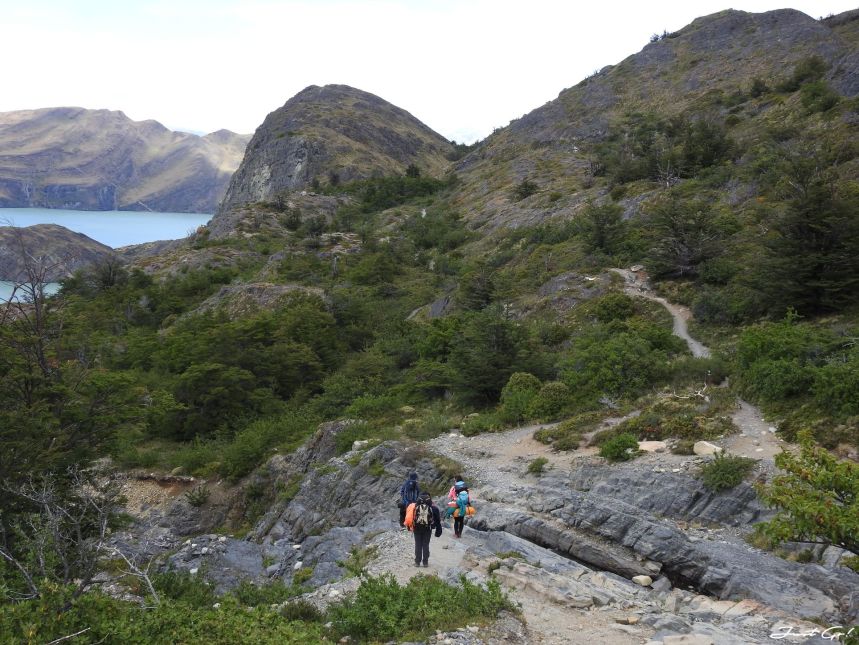 智利 - 【國家地理】一生必去景點·百內國家公園W健行4天遊記67