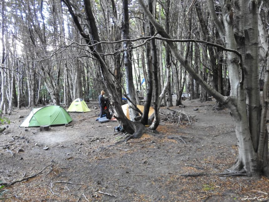 智利 - 【國家地理】一生必去景點·百內國家公園W健行4天遊記94