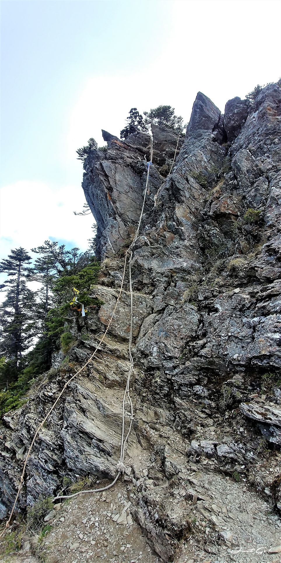 台灣 - 一日百岳·畢祿羊頭縱走單攻紀錄- gpx路線、申請、接駁及遊記11
