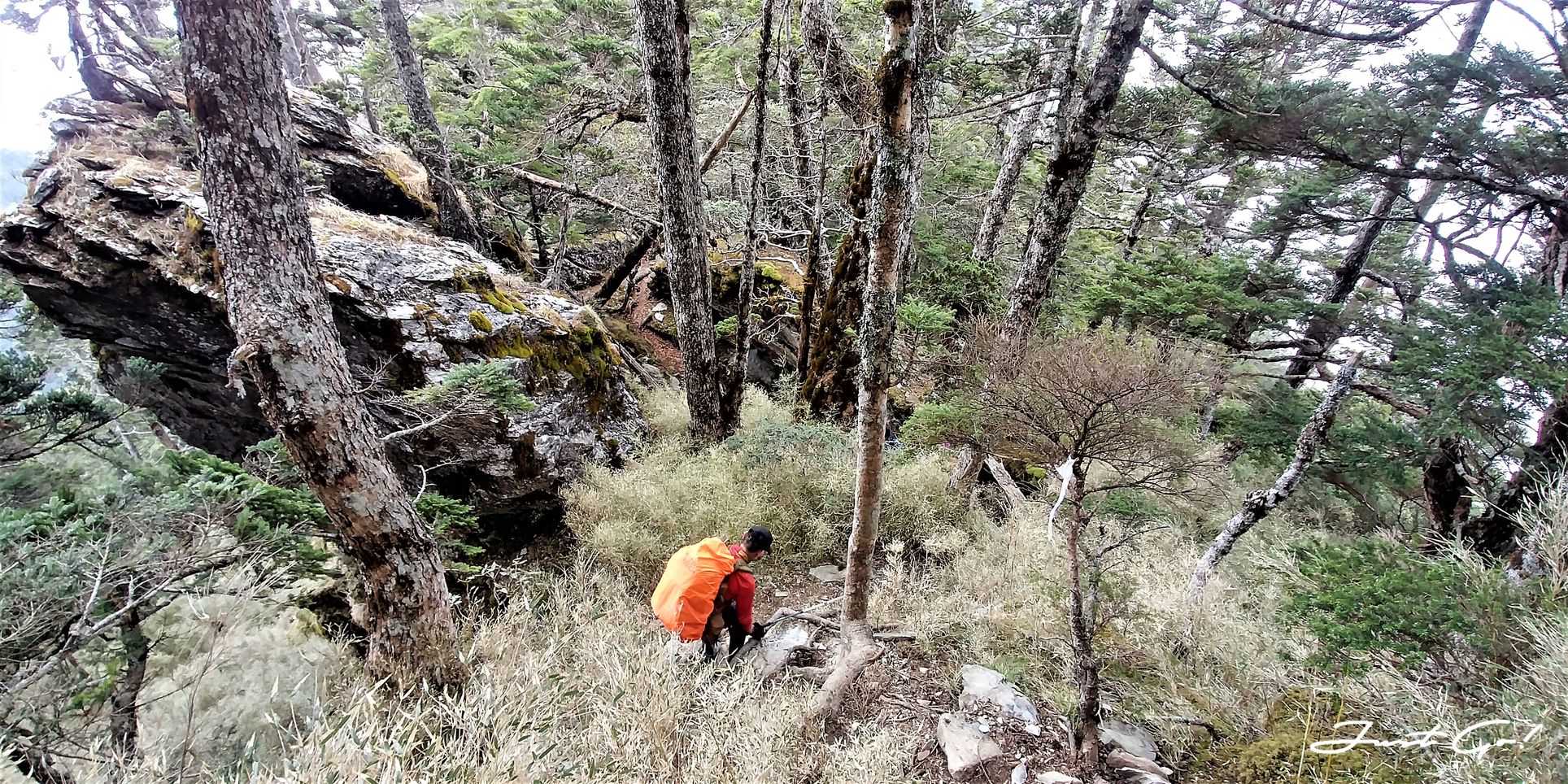 台灣 - 一日百岳·畢祿羊頭縱走單攻紀錄- gpx路線、申請、接駁及遊記13