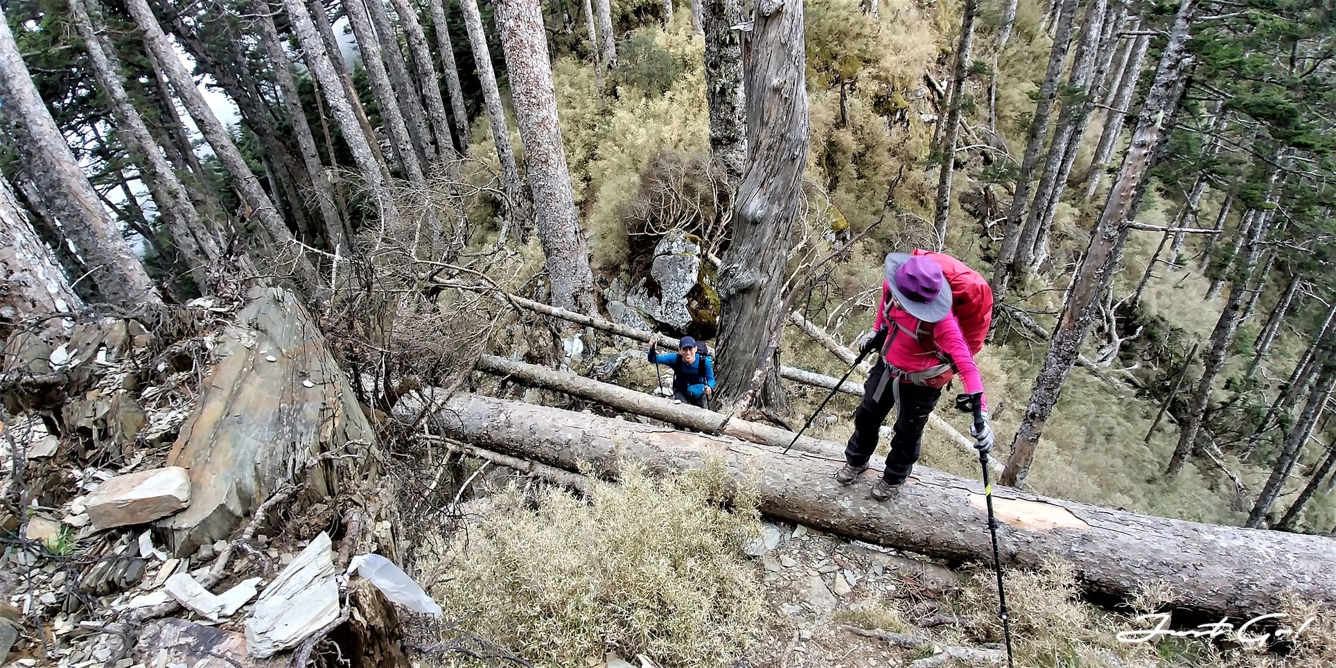 台灣 - 一日百岳·畢祿羊頭縱走單攻紀錄- gpx路線、申請、接駁及遊記14
