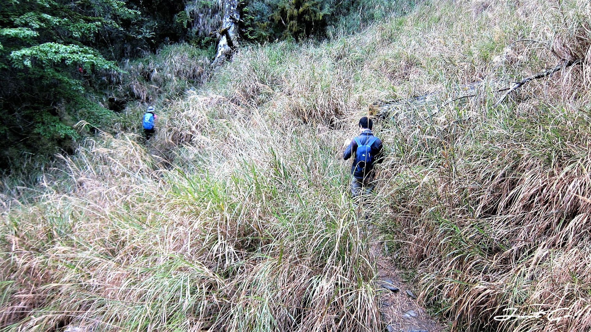 台灣 - 一日百岳·畢祿羊頭縱走單攻紀錄- gpx路線、申請、接駁及遊記20