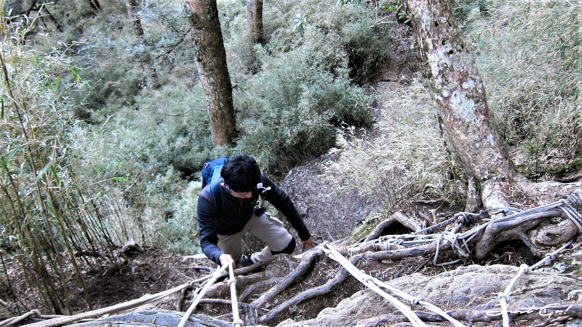 台灣 - 一日百岳·畢祿羊頭縱走單攻紀錄- gpx路線、申請、接駁及遊記21