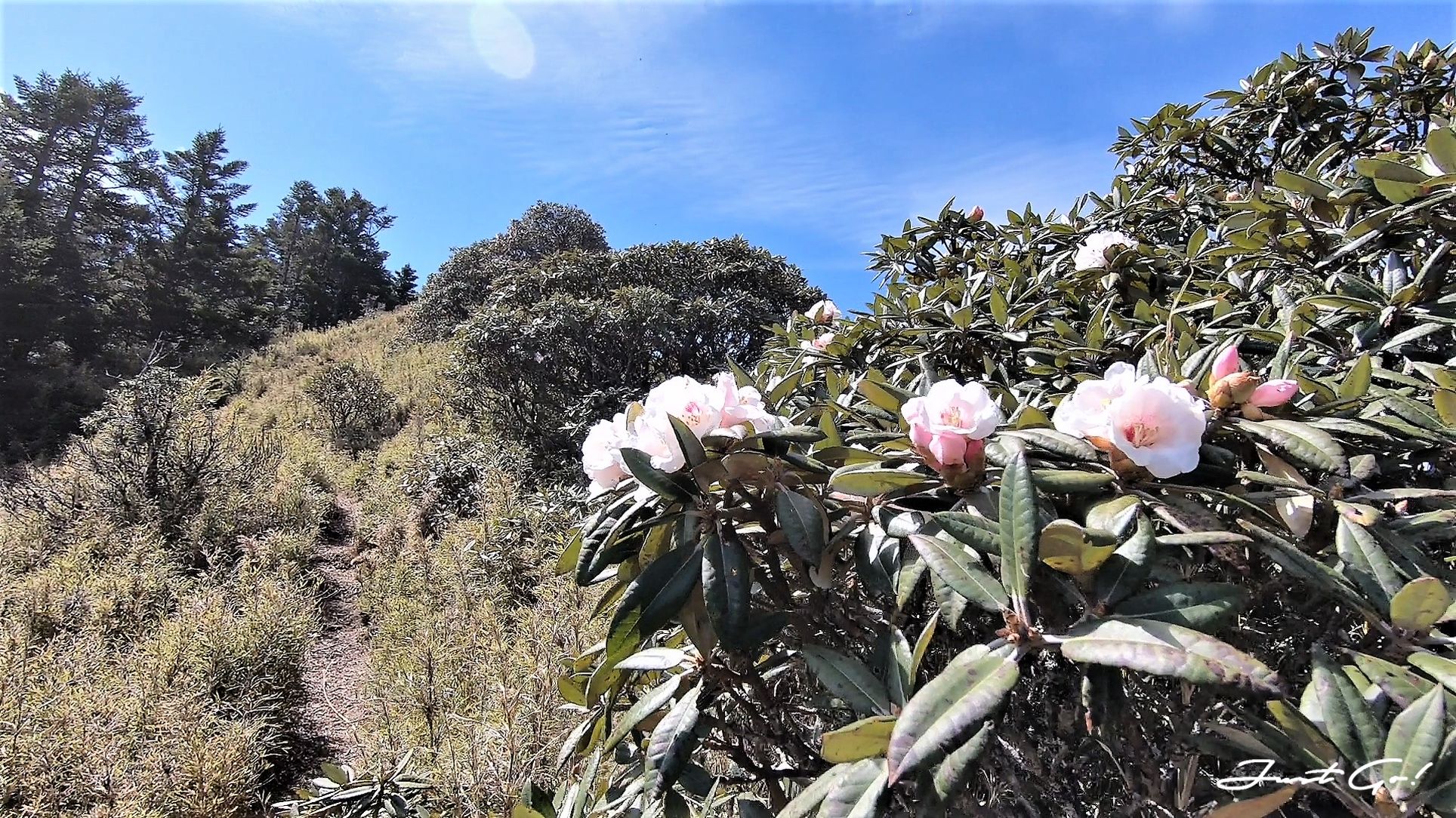 台灣 - 一日百岳·畢祿羊頭縱走單攻紀錄- gpx路線、申請、接駁及遊記29