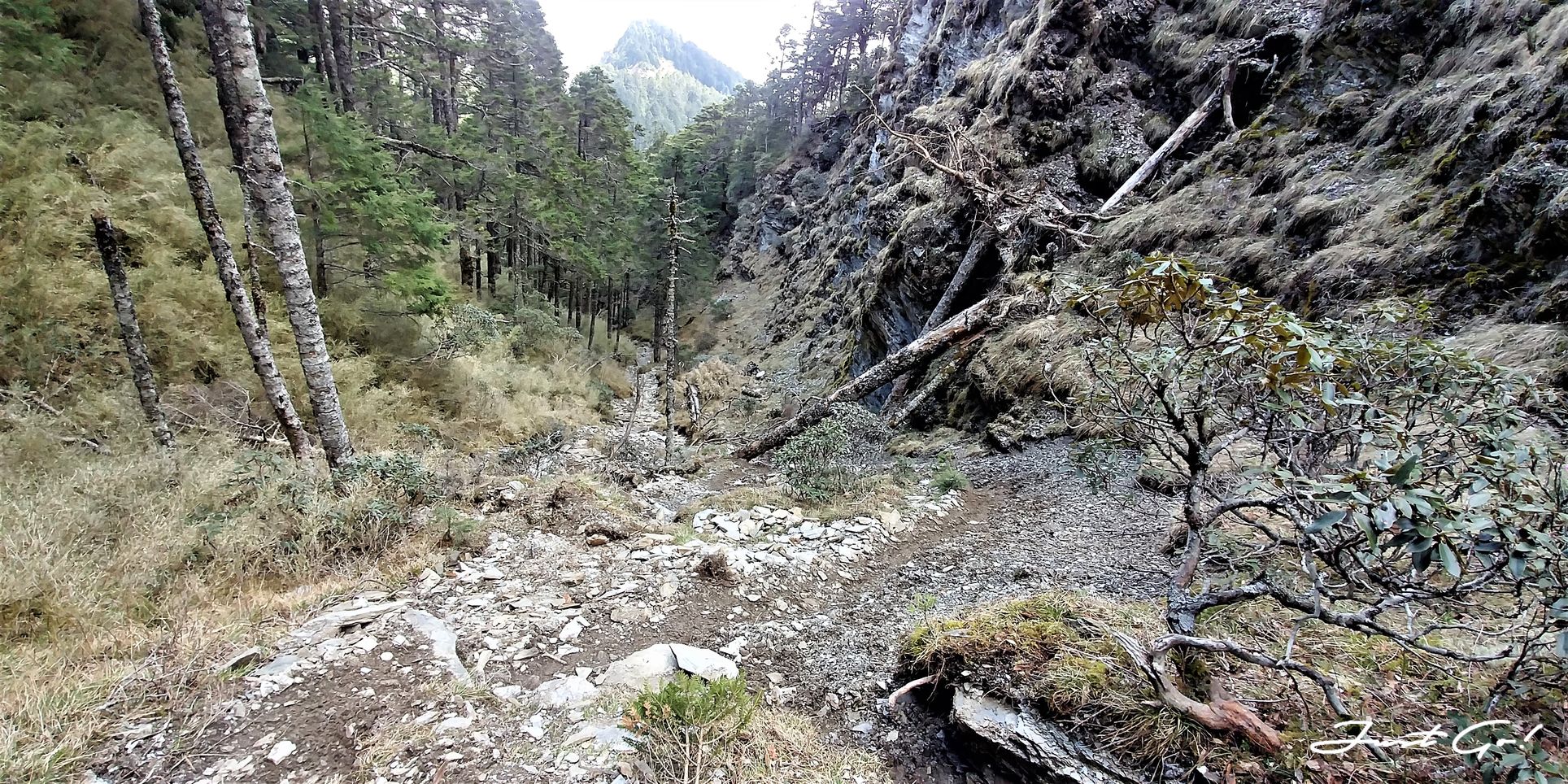 台灣 - 一日百岳·畢祿羊頭縱走單攻紀錄- gpx路線、申請、接駁及遊記9