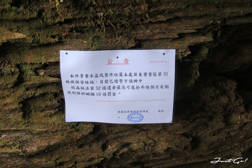 台灣 - 雲海故鄉·北大武山探訪鐵杉林- GPX路線、申請、交通、遊記11