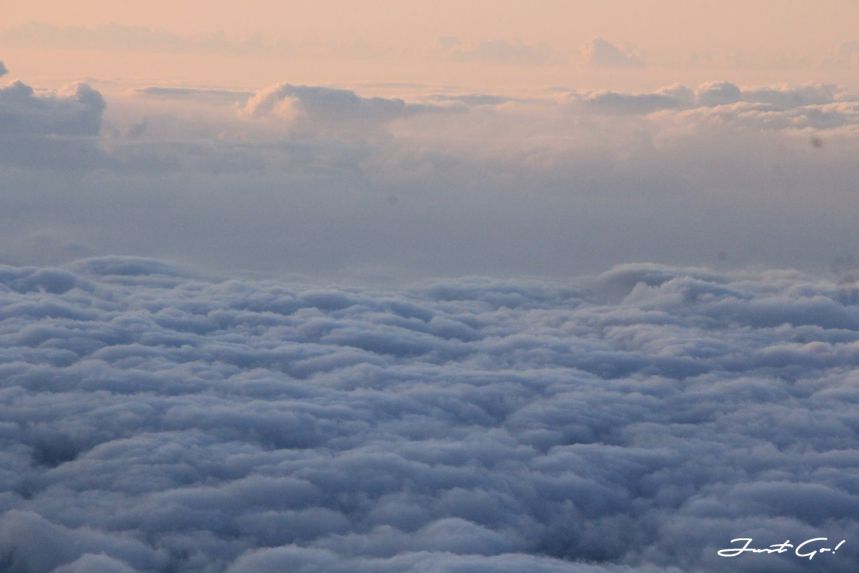 台灣 - 雲海故鄉·北大武山探訪鐵杉林- GPX路線、申請、交通、遊記31