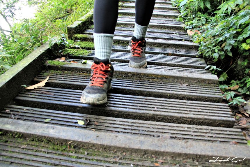 台灣 - 雲海故鄉·北大武山探訪鐵杉林- GPX路線、申請、交通、遊記4