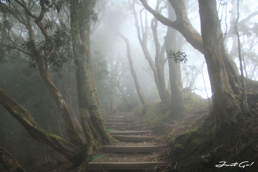 台灣 - 雲海故鄉·北大武山探訪鐵杉林- GPX路線、申請、交通、遊記5