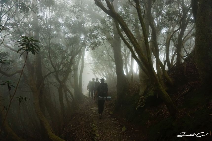 台灣 - 雲海故鄉·北大武山探訪鐵杉林- GPX路線、申請、交通、遊記7