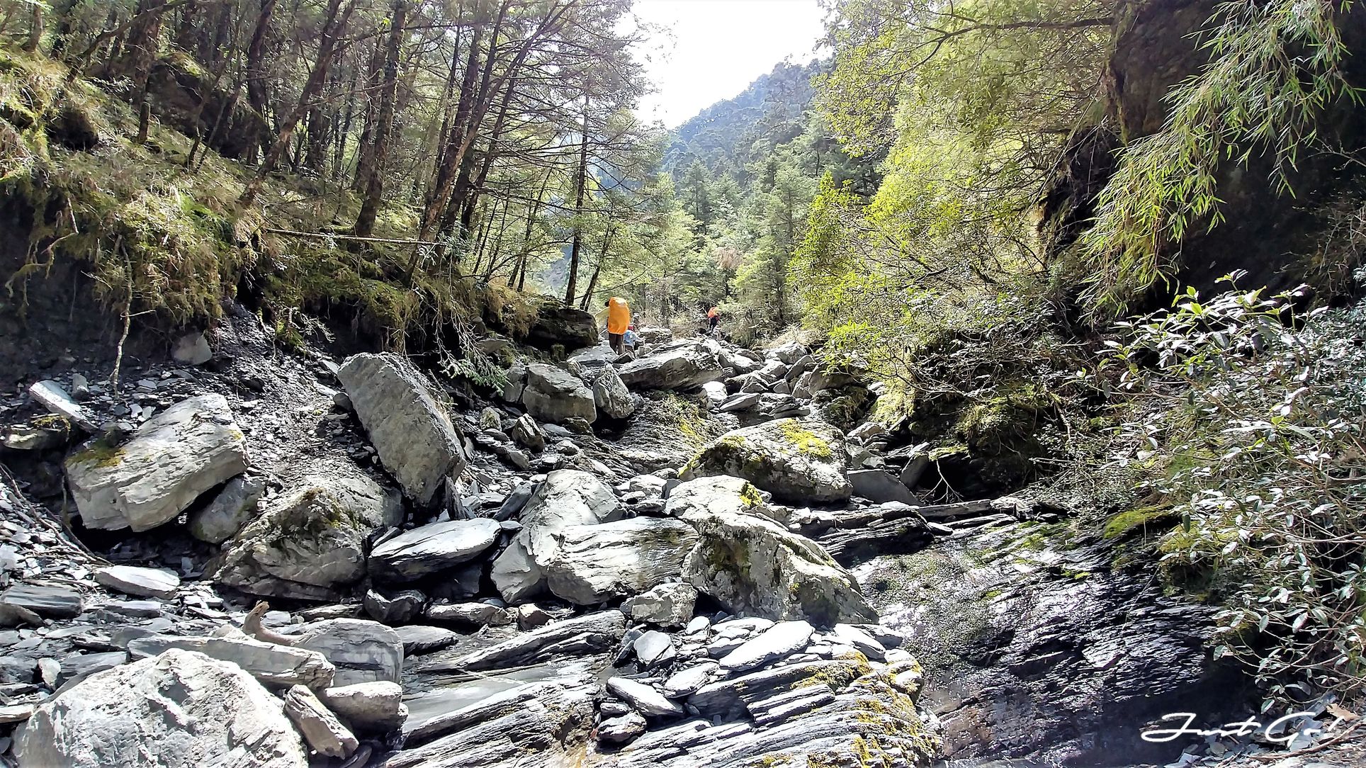 台灣 - 黃金色的奇萊主北·2天1夜紀事-gpx路線、行程、申請、水源13