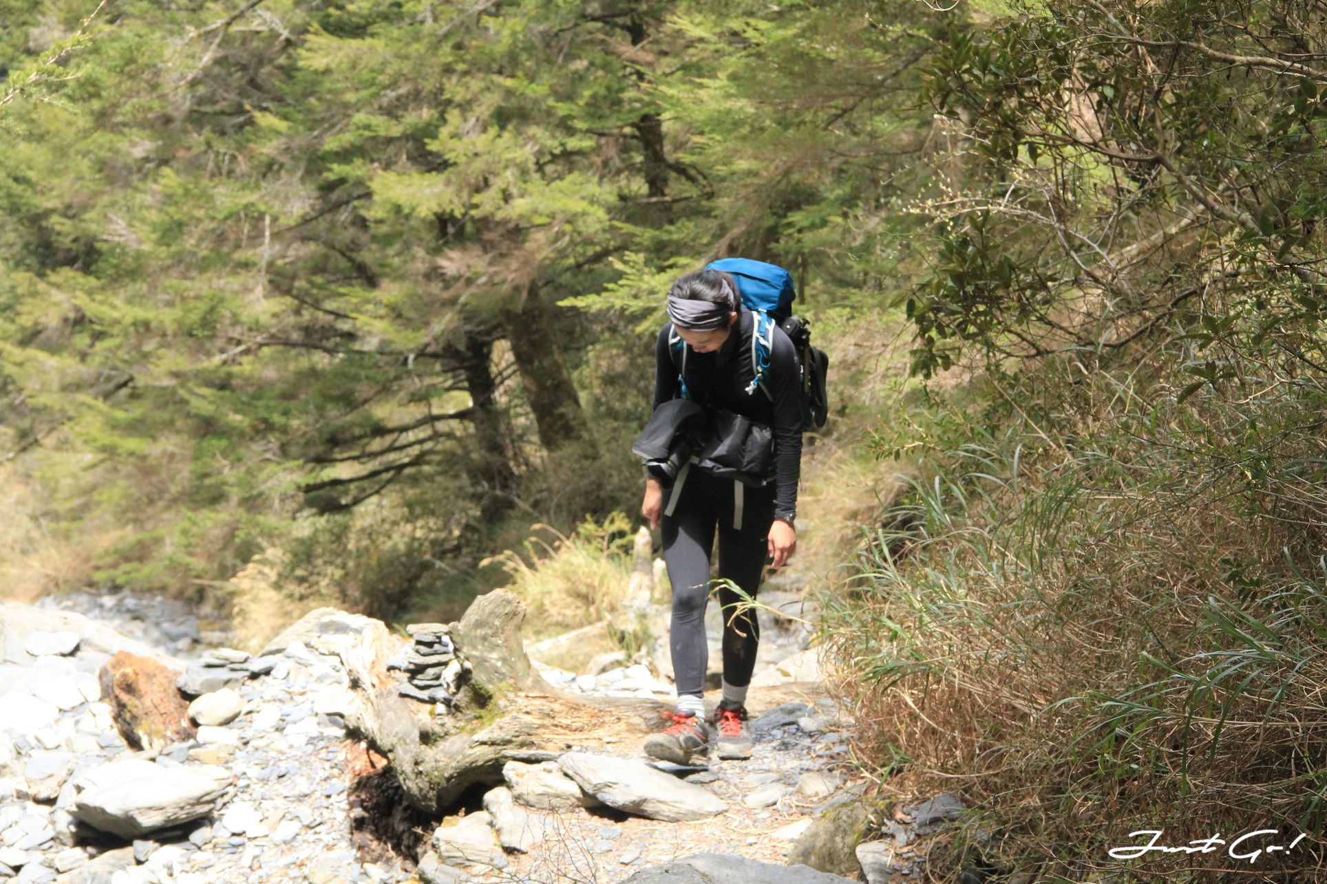 台灣 - 黃金色的奇萊主北·2天1夜紀事-gpx路線、行程、申請、水源15