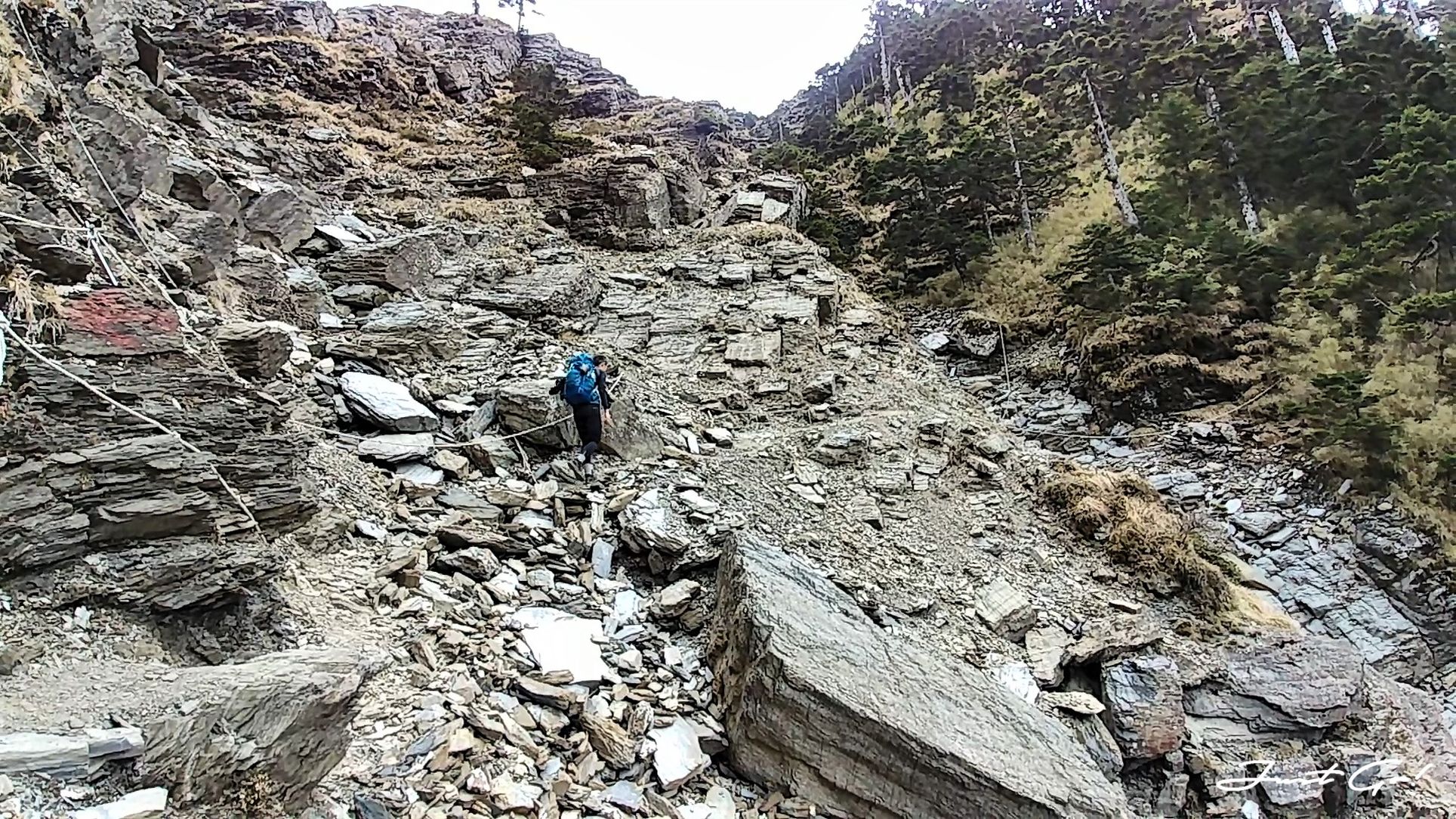 台灣 - 黃金色的奇萊主北·2天1夜紀事-gpx路線、行程、申請、水源20