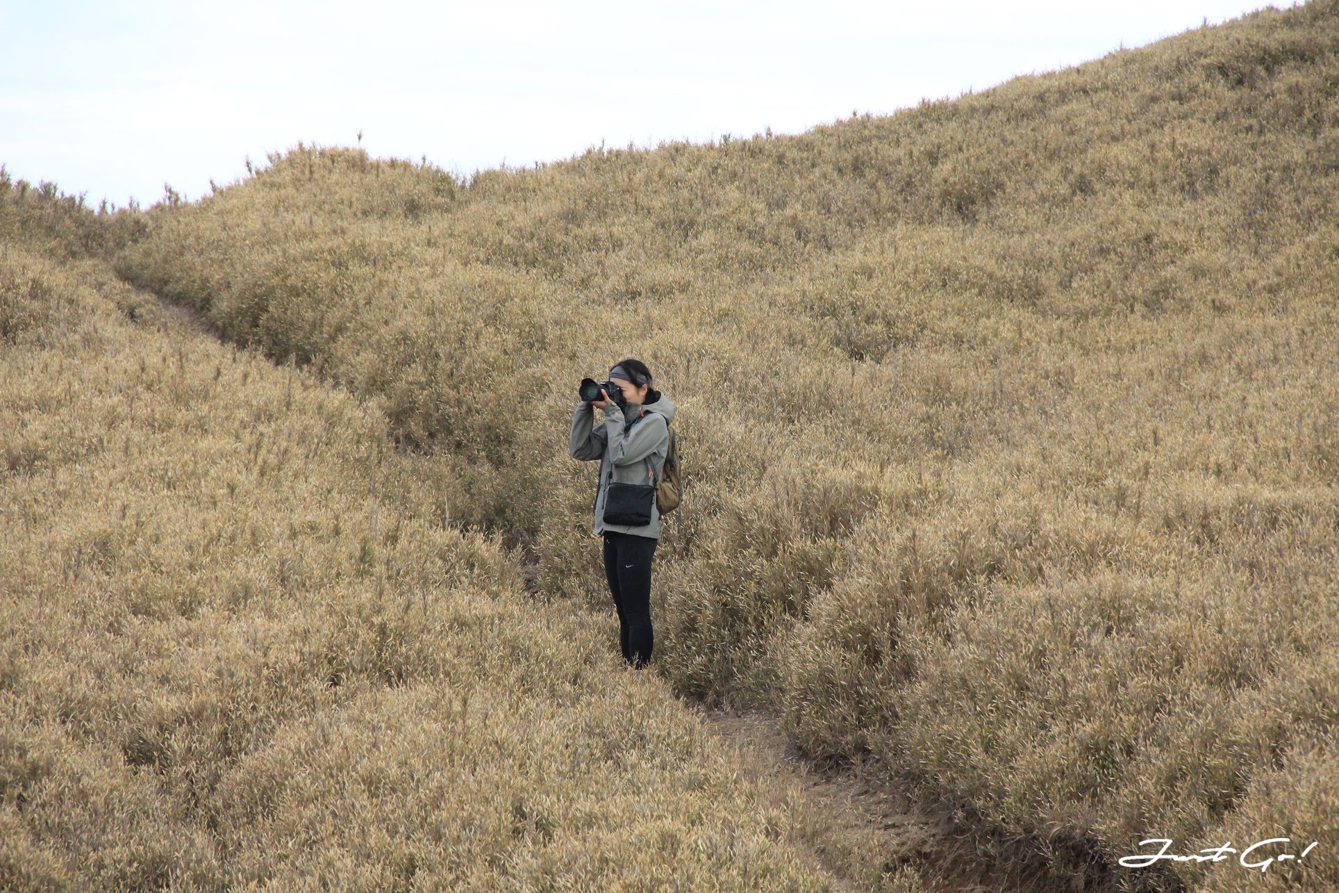 台灣 - 黃金色的奇萊主北·2天1夜紀事-gpx路線、行程、申請、水源37
