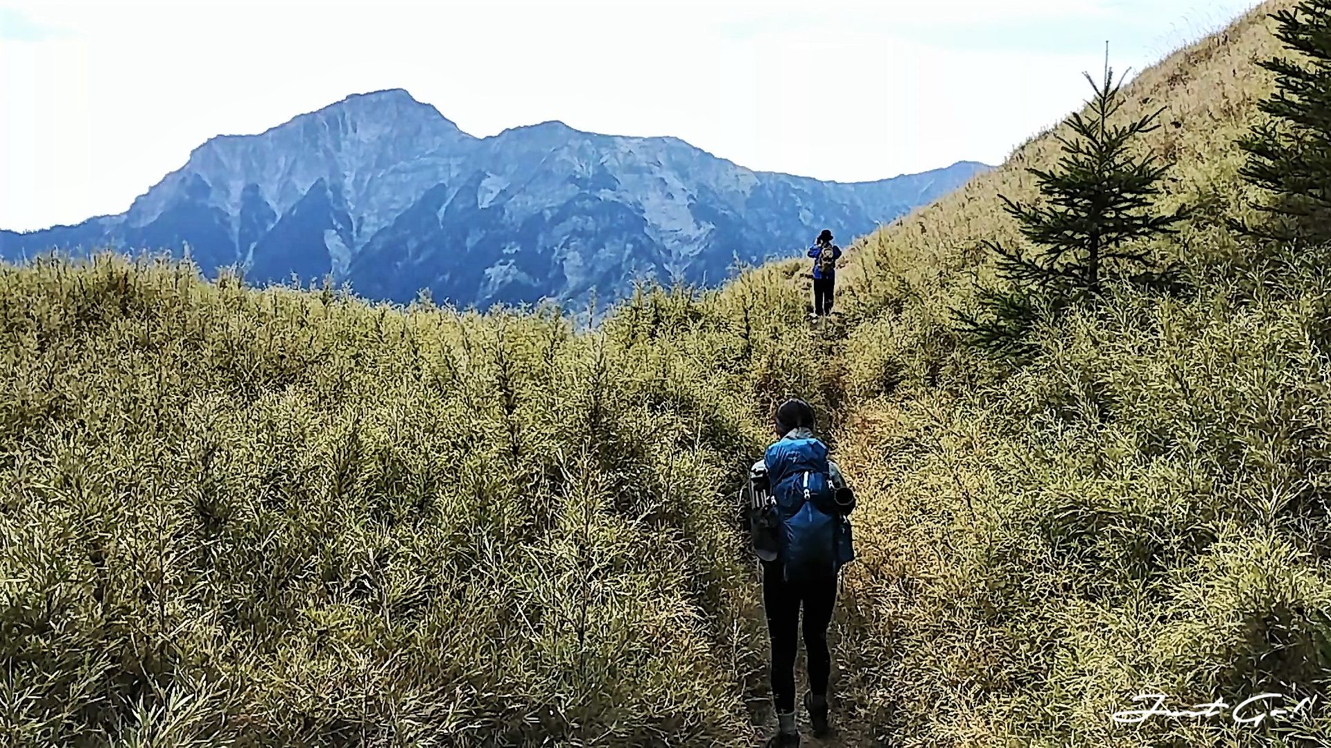 台灣 - 黃金色的奇萊主北·2天1夜紀事-gpx路線、行程、申請、水源4