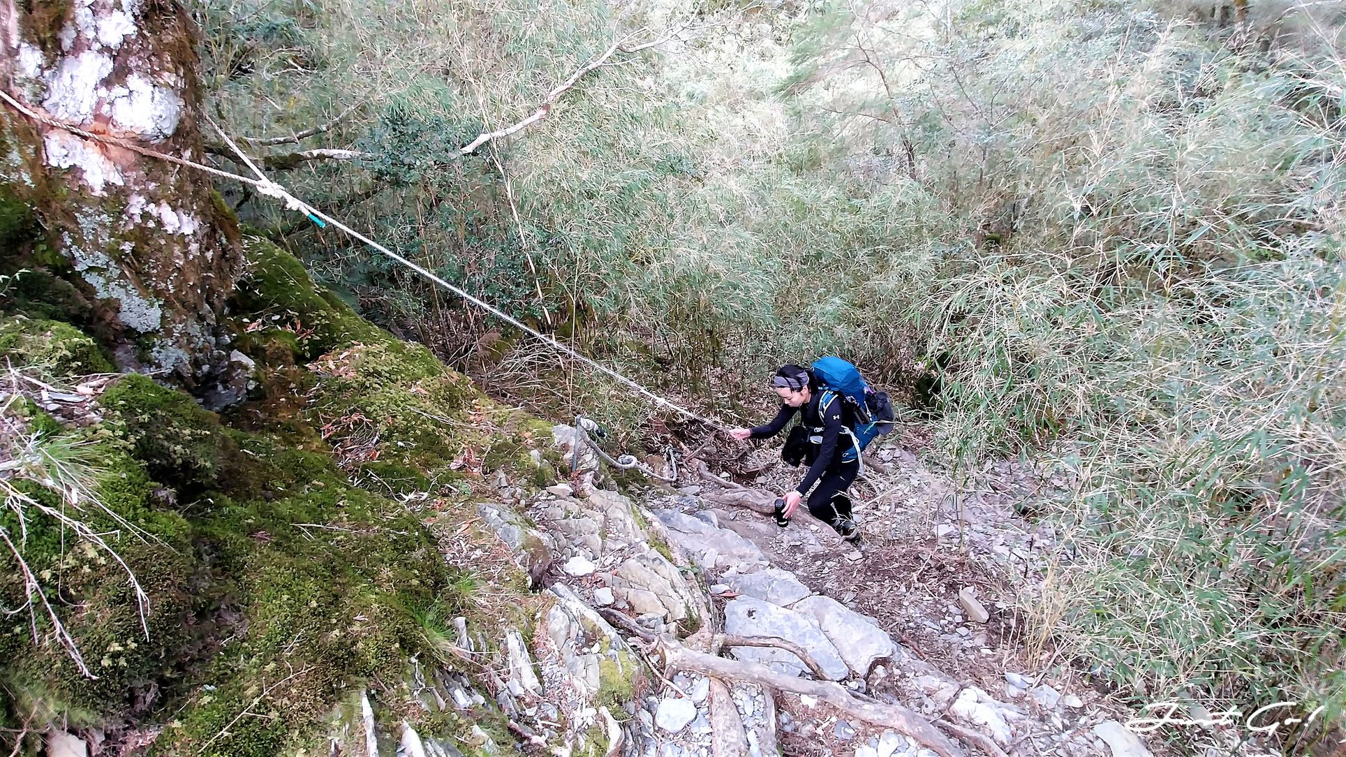 台灣 - 黃金色的奇萊主北·2天1夜紀事-gpx路線、行程、申請、水源8
