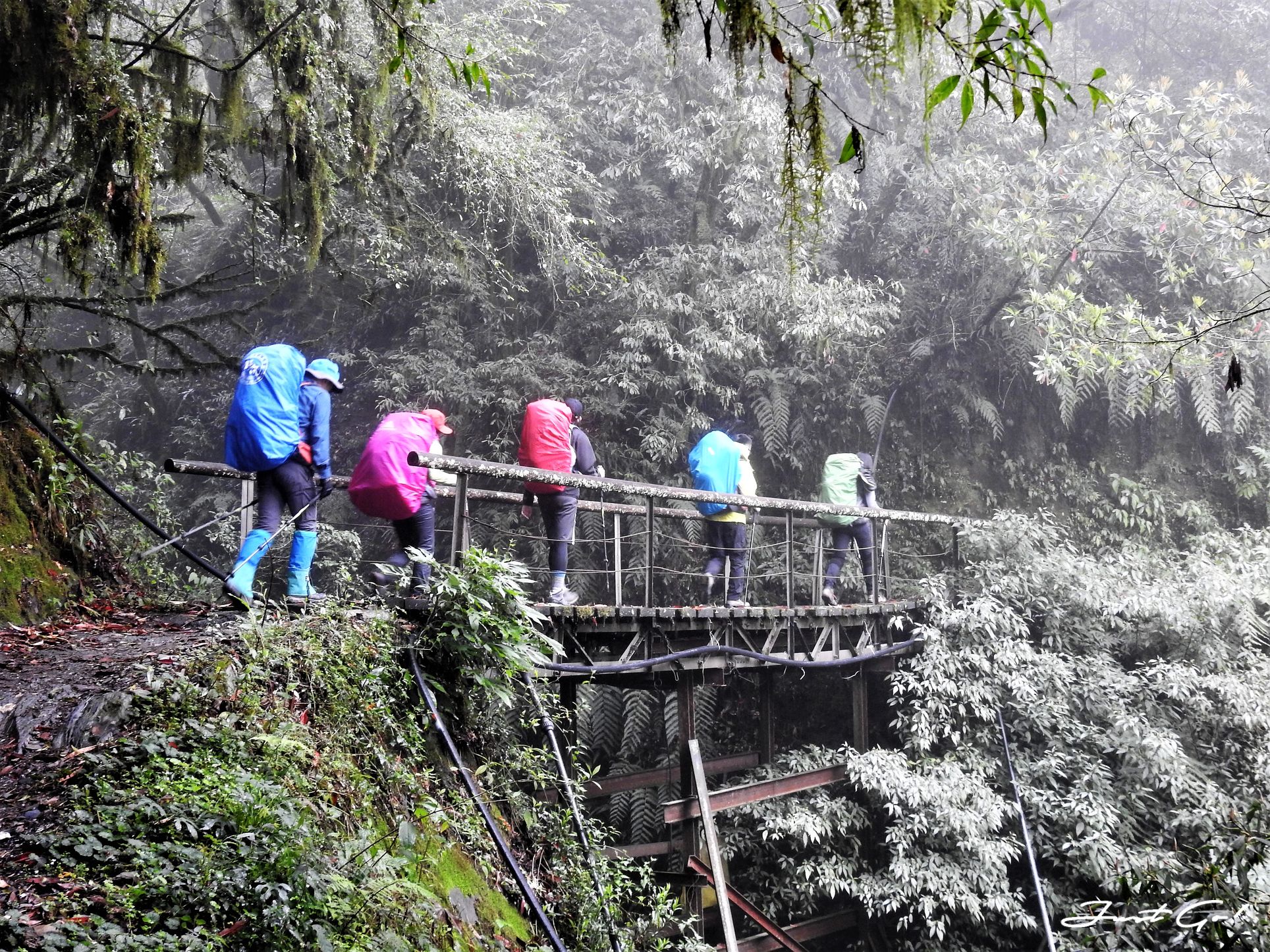 台灣 - 能高安東軍縱走自組隊-5日行程遊記、gpx路線、申請、水源2