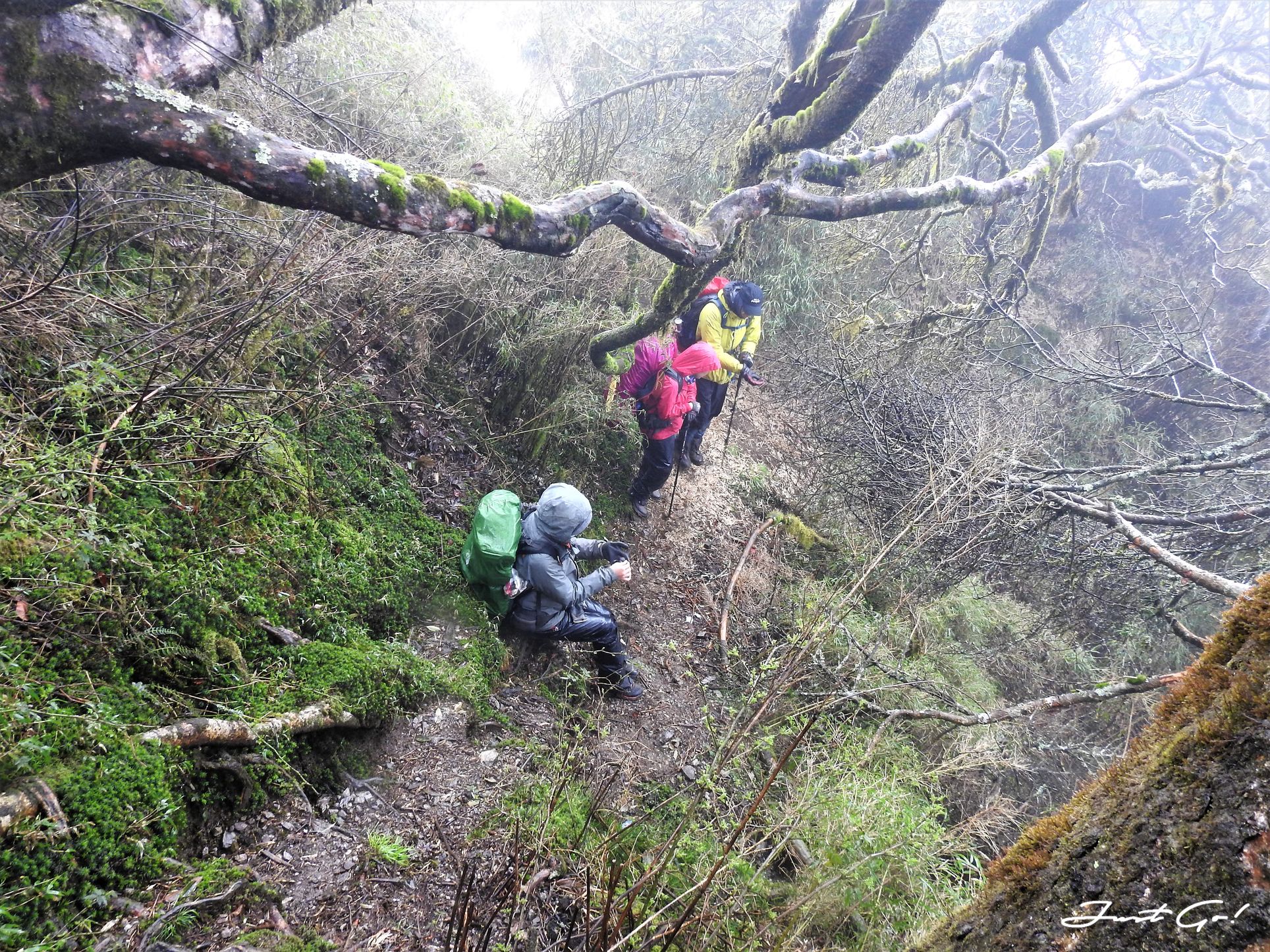 台灣 - 能高安東軍縱走自組隊-5日行程遊記、gpx路線、申請、水源23