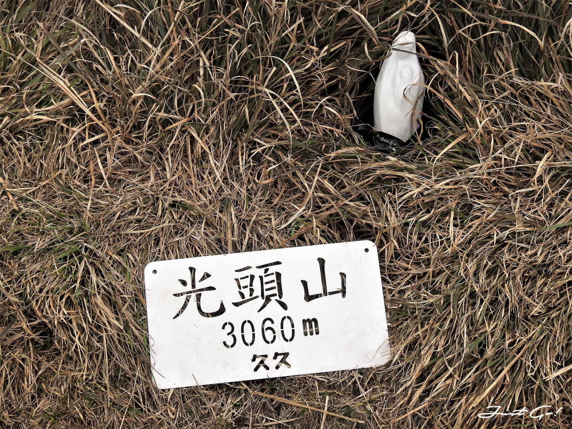 台灣 - 能高安東軍縱走自組隊-5日行程遊記、gpx路線、申請、水源29