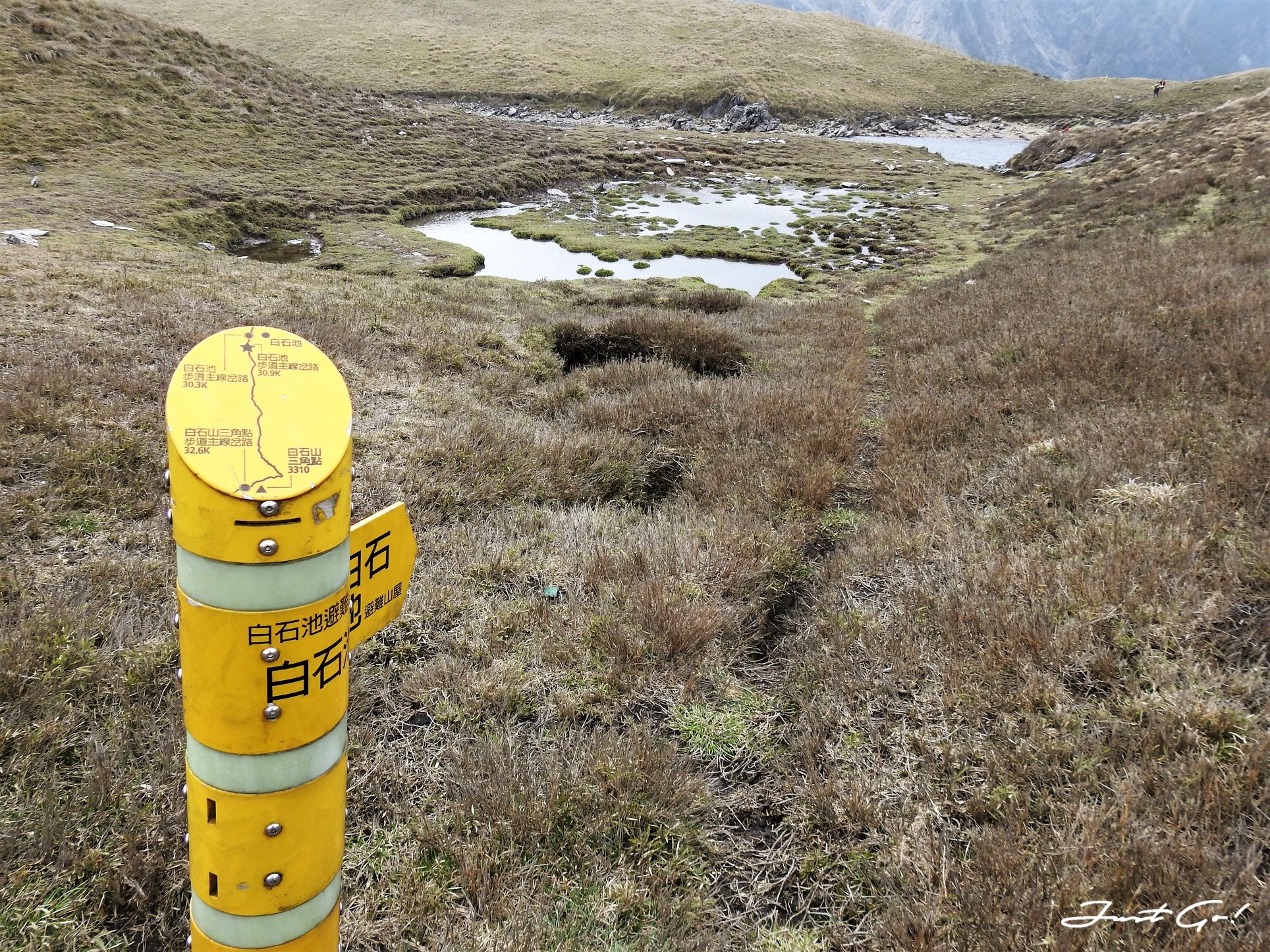台灣 - 能高安東軍縱走自組隊-5日行程遊記、gpx路線、申請、水源38