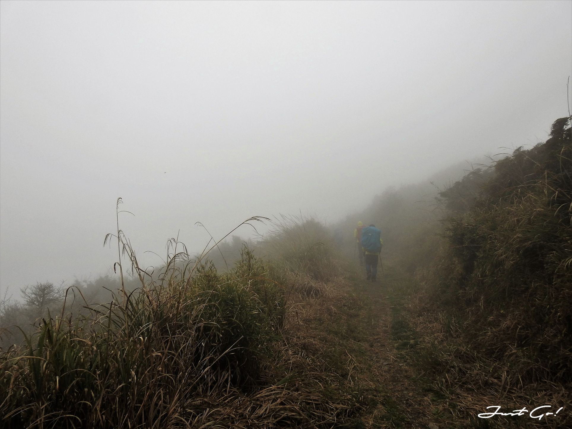 台灣 - 能高安東軍縱走自組隊-5日行程遊記、gpx路線、申請、水源4