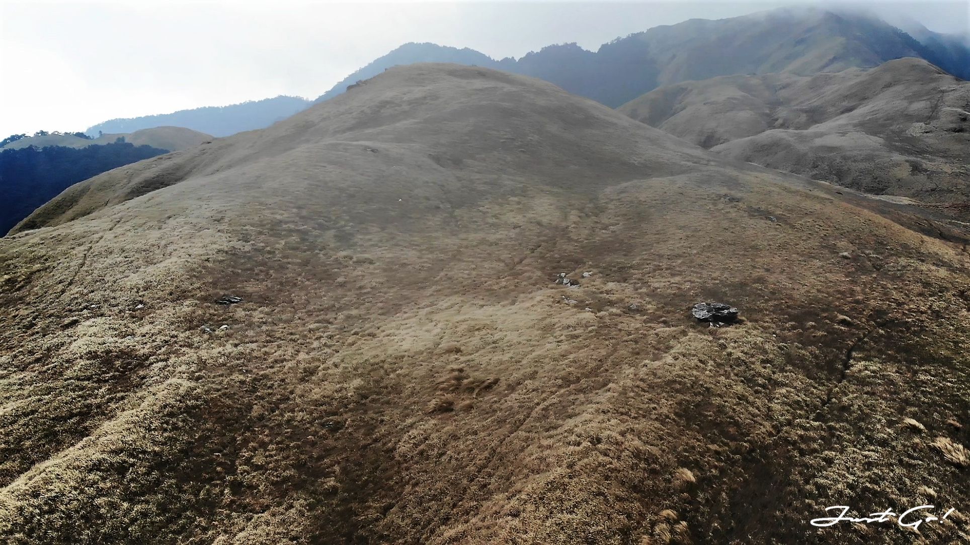 台灣 - 能高安東軍縱走自組隊-5日行程遊記、gpx路線、申請、水源40