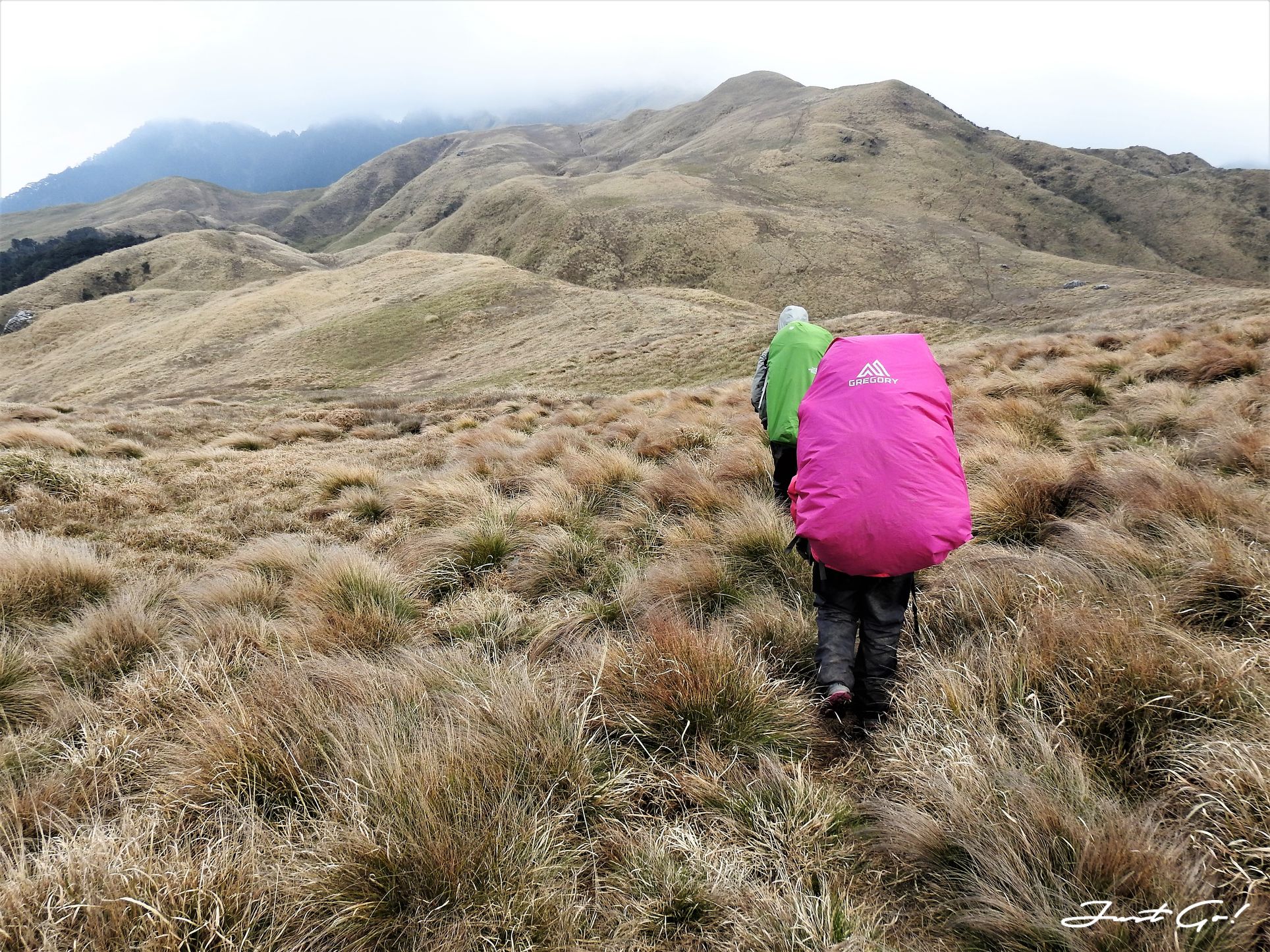 台灣 - 能高安東軍縱走自組隊-5日行程遊記、gpx路線、申請、水源41
