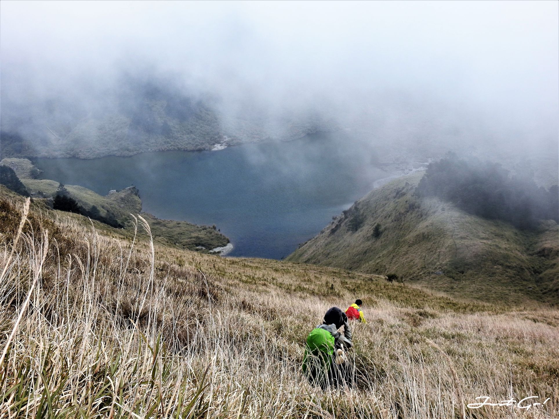 台灣 - 能高安東軍縱走自組隊-5日行程遊記、gpx路線、申請、水源46