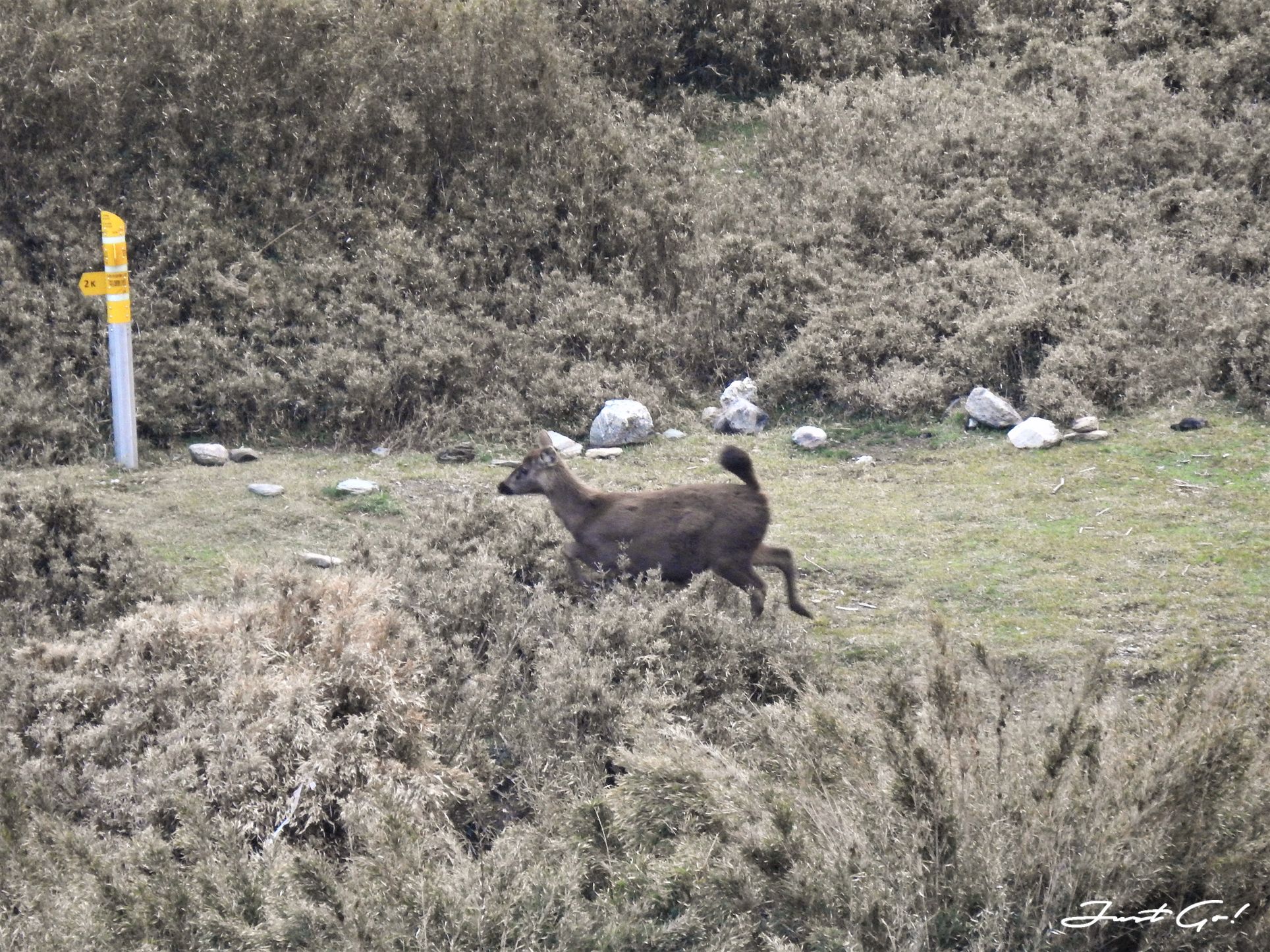 台灣 - 能高安東軍縱走自組隊-5日行程遊記、gpx路線、申請、水源50