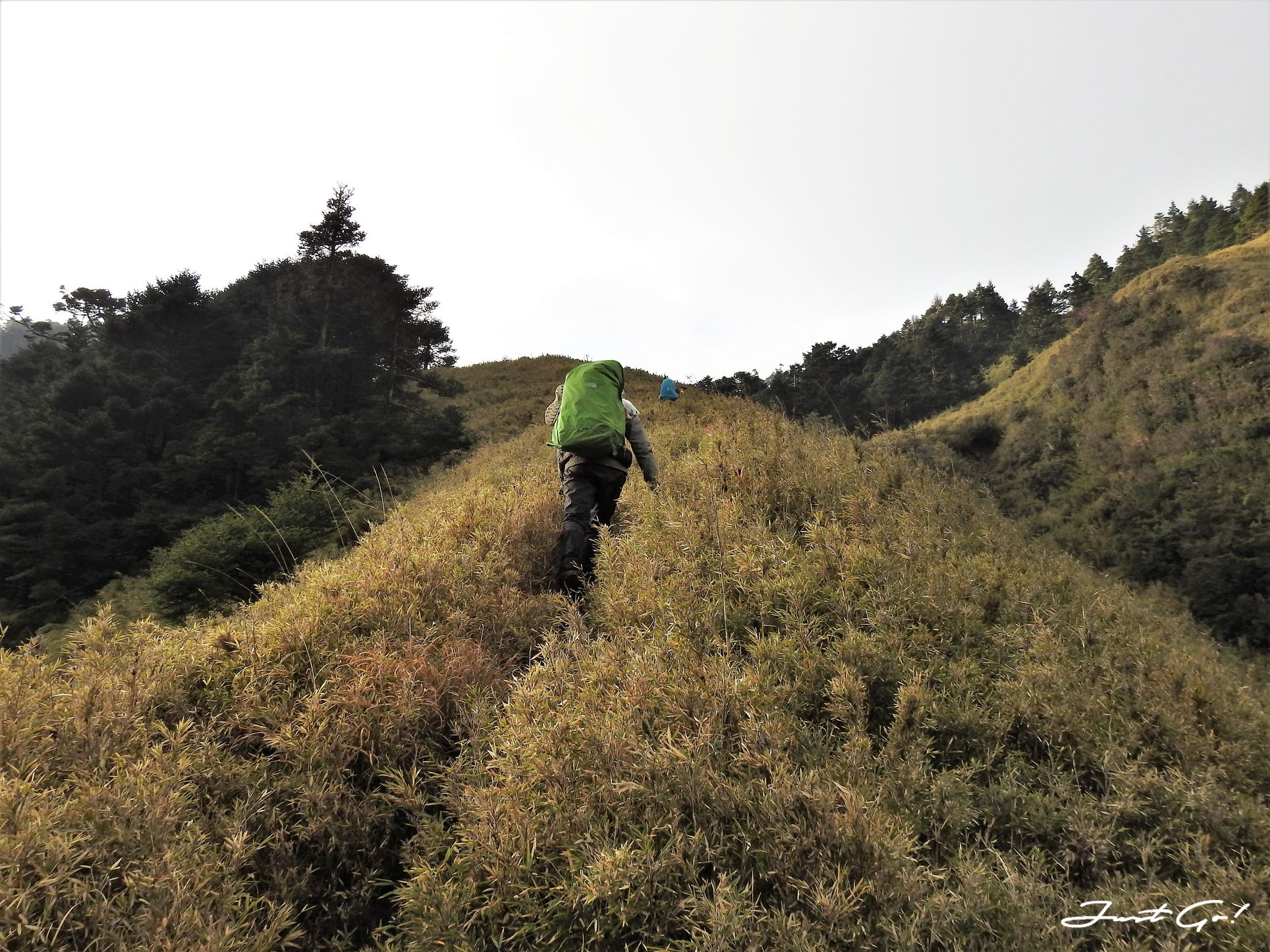 台灣 - 能高安東軍縱走自組隊-5日行程遊記、gpx路線、申請、水源53