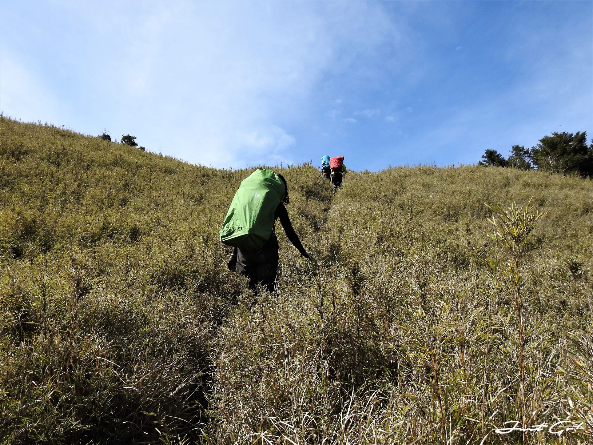 台灣 - 能高安東軍縱走自組隊-5日行程遊記、gpx路線、申請、水源62
