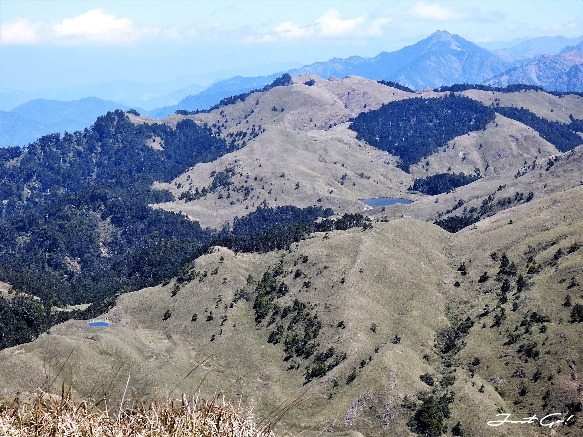 台灣 - 能高安東軍縱走自組隊-5日行程遊記、gpx路線、申請、水源68
