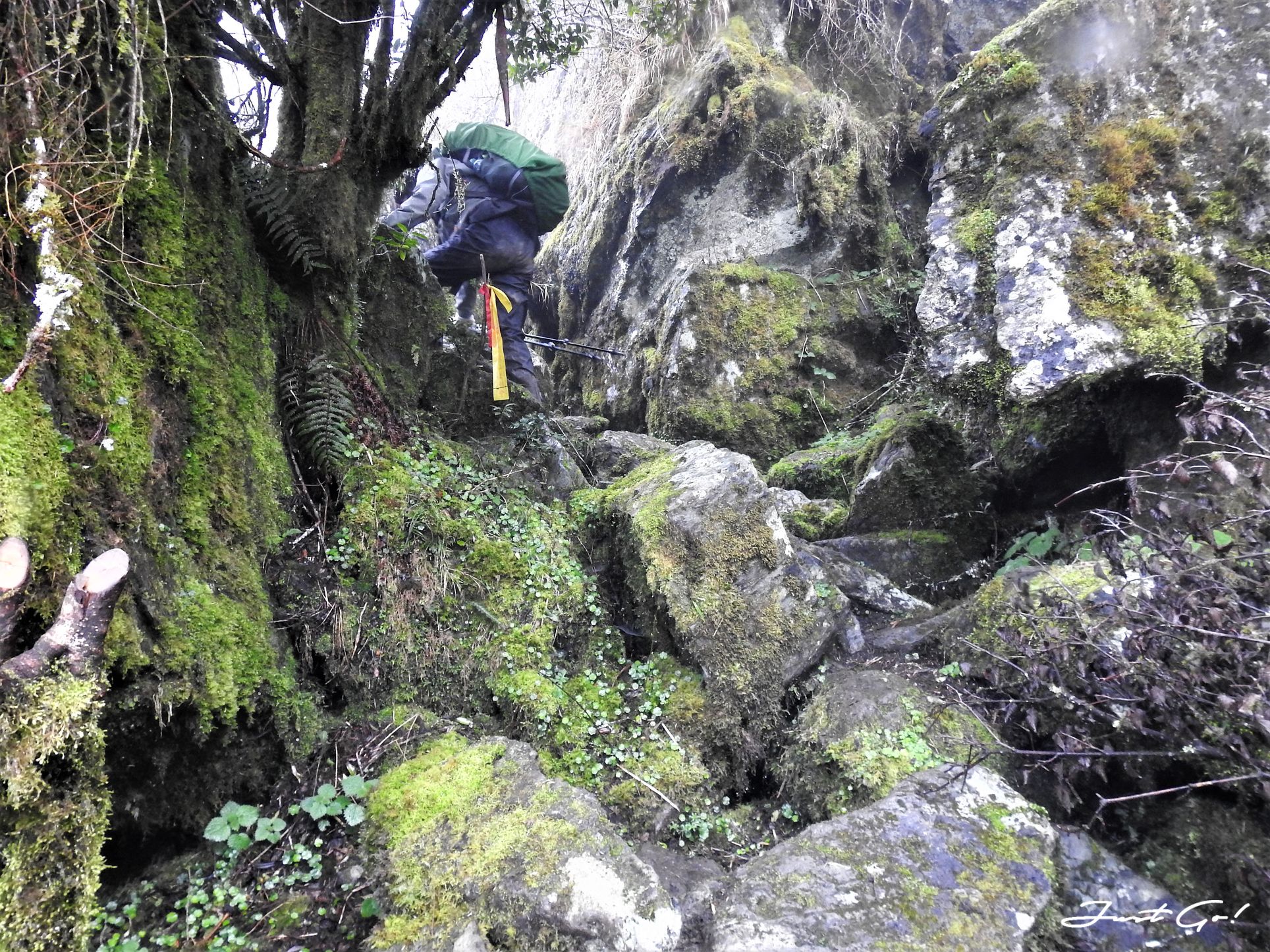 台灣 - 能高安東軍縱走自組隊-5日行程遊記、gpx路線、申請、水源7