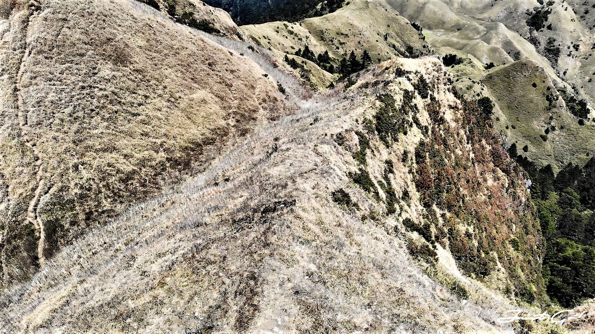 台灣 - 能高安東軍縱走自組隊-5日行程遊記、gpx路線、申請、水源72